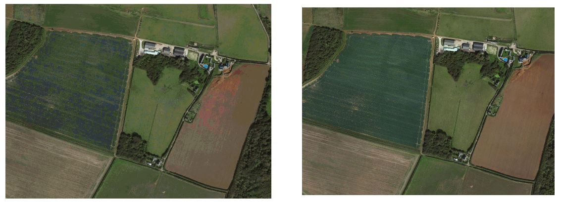 pmc.editing.wiki_images_global-mapper-satellite-export-bmp-format-rgb-colors.jpg